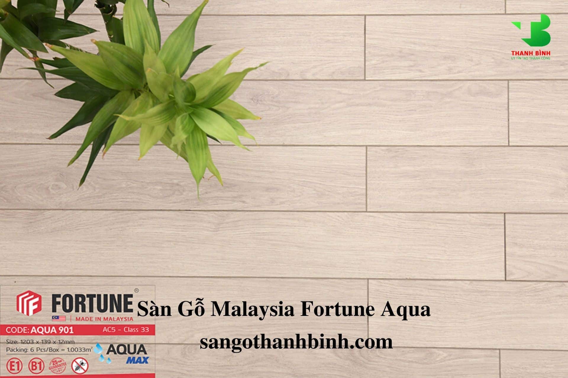 San go Malaysia Fortune AQUA 12mm 901