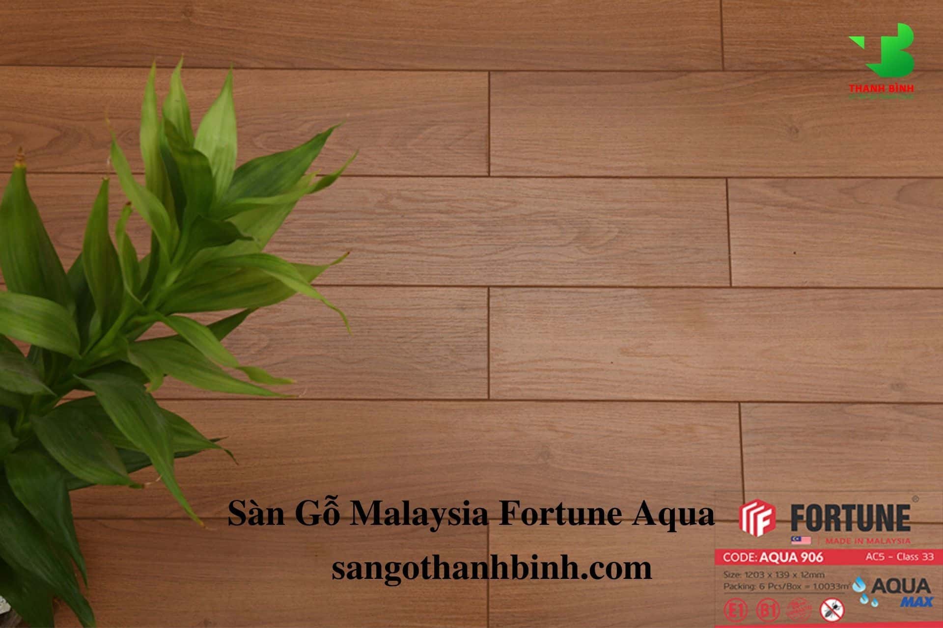 San go Malaysia Fortune AQUA 12mm 9063
