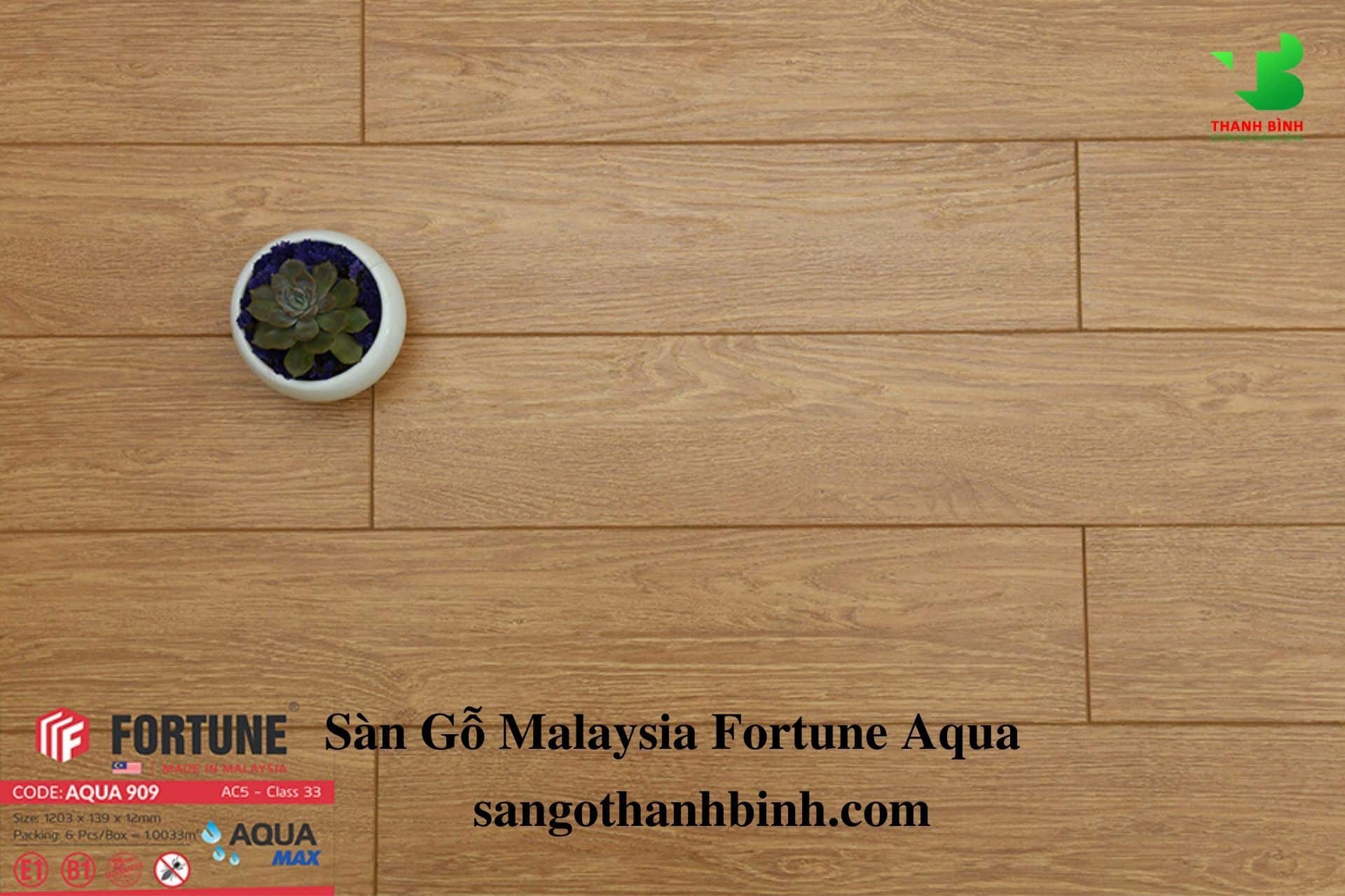 San go Malaysia Fortune AQUA 12mm 909