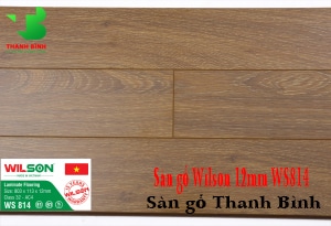 San go Viet Nam Wilson 12mm WS814
