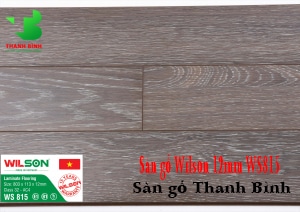 San go Viet Nam Wilson 12mm WS815