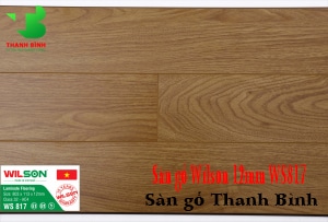 San go Viet Nam Wilson 12mm WS817